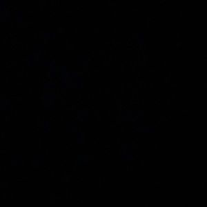 Meet your Posher, Berkley